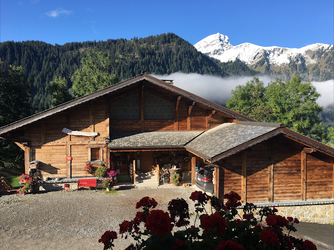 Chalet Les Neiges Eternelles: Location de vacances 18 personnes proche Navette à Châtel, Portes Du Soleil, Haute-Savoie