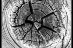 Inspiration Bois Noir et Blanc