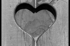 inspiration-bois-noir-et-blanc-03