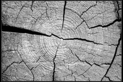 inspiration-bois-noir-et-blanc-07