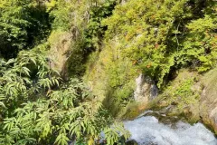 cascade-ardent-22