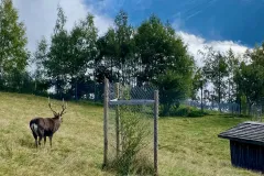 parc-de-merlet-021