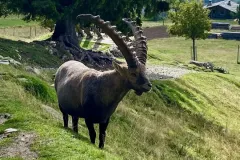 parc-de-merlet-026
