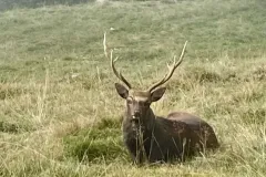 parc-de-merlet-031