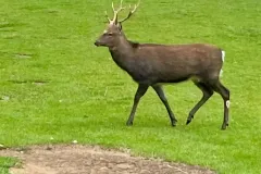 parc-de-merlet-033