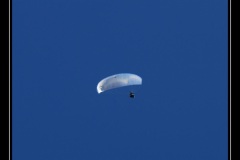 montgolfiades_264
