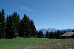 VUE2