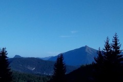 VUE9