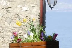 village-medieval-yvoire-006