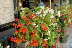 village-medieval-yvoire-088