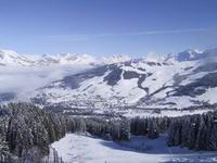img2-11.jpg