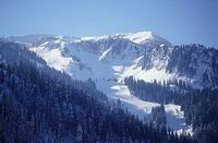 img2-4.jpg