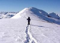 img2-6.jpg
