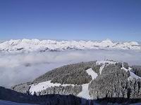 img3-11.jpg