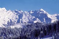img3-13.jpg