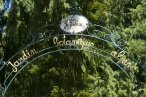 Le jardin de la Jaysinia