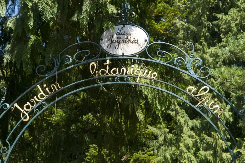 Le jardin de la Jaysinia