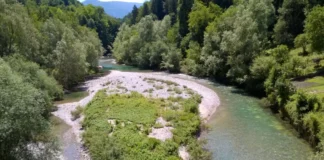 alby-sur-cheran rivière sauvage