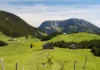 Alpages au plateau des Glières