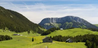 Alpages au plateau des Glières