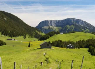 Alpages au plateau des Glières