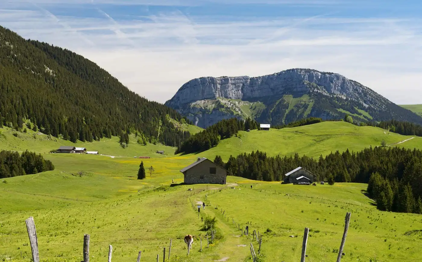Alpages au plateau des Glières