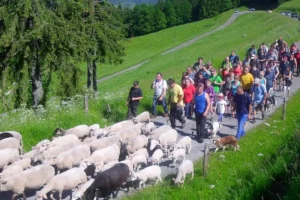 Que faire en Haute-Savoie le week-end du 14 au 17 mai 2026