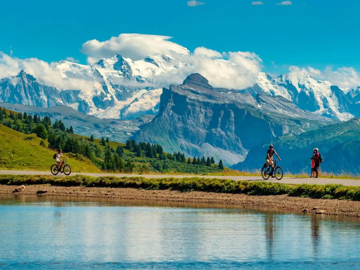 vue depuis le col de joux plane