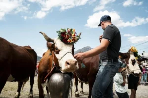 La fête des alpages « La Belle Dimanche » à Châtel