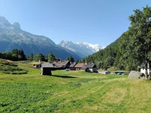 Trélechamps