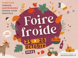affiche de la foire froide de Sallanches 2025