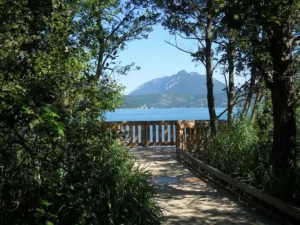 Pourquoi certains espaces naturels autour du lac d’Annecy commencent à inquiéter les gestionnaires
