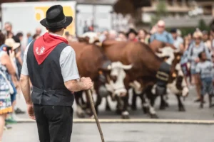 Foire agricole de la Saint-Maurice 2026 : Le Grand-Bornand célèbre son patrimoine agricole avant la démontagnée