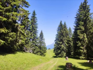 Plateau d’Agy : le grand air à 360° au-dessus de la vallée de l’Arve