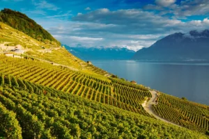 Suisse voisine : 9 escapades incontournables depuis la Haute-Savoie
